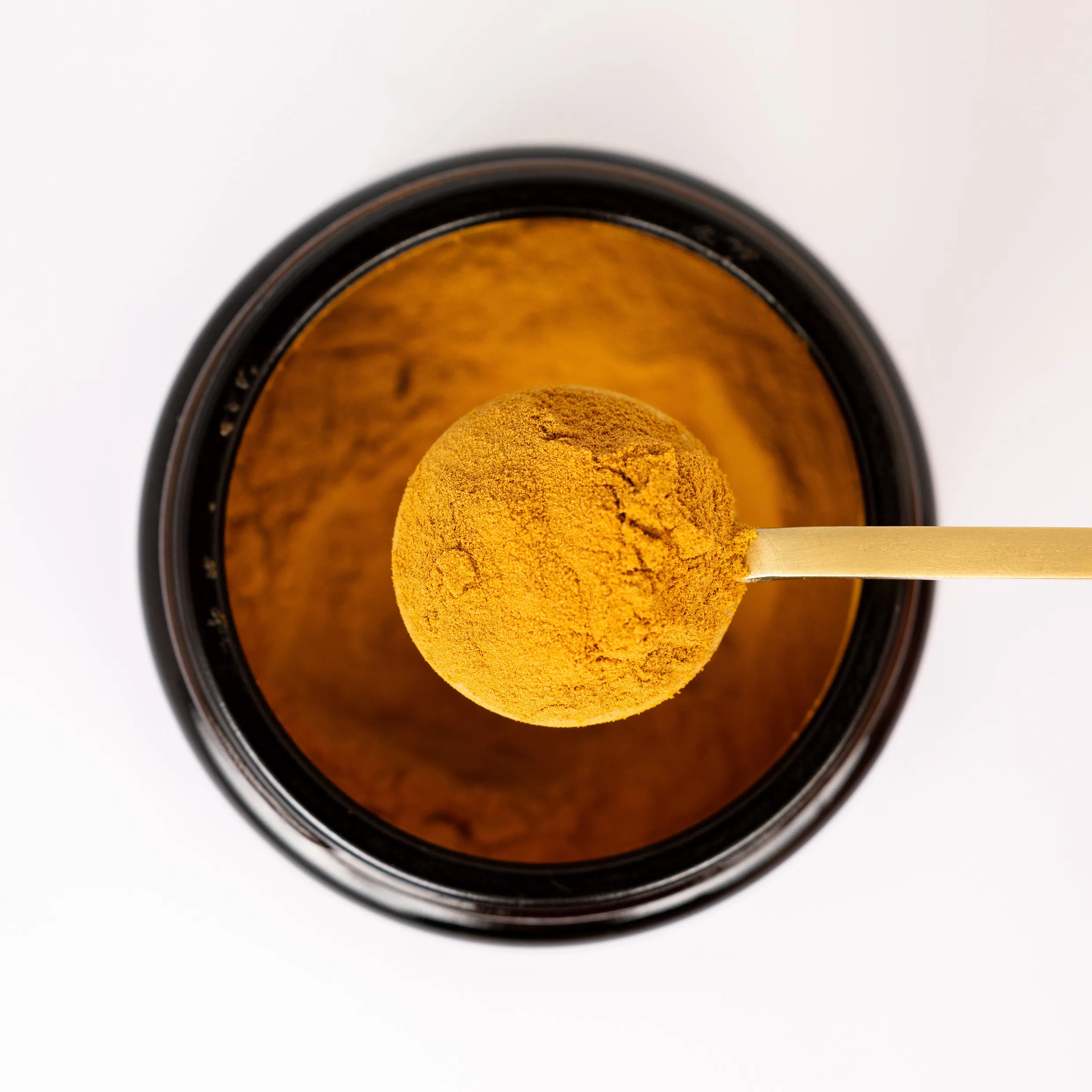 He Shou Wu Extrakt Pulver 20:1 Bio – Bild 2